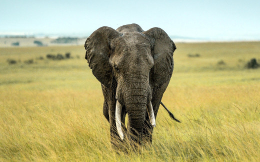 1754695 (a): :1920x1200